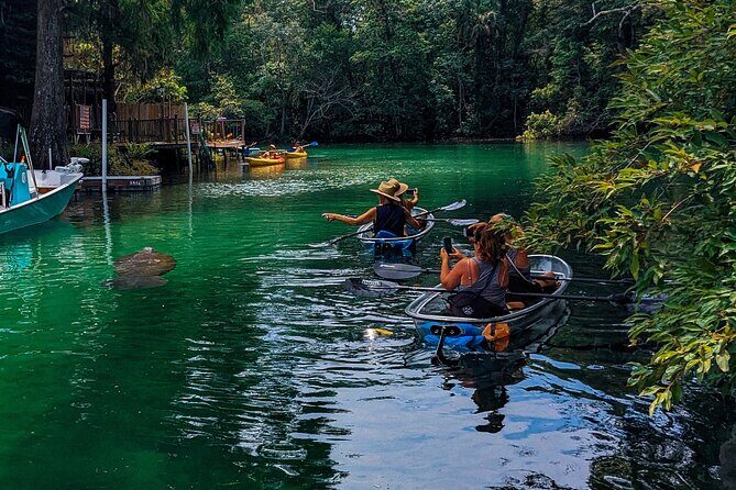 Weeki Wachee Clear Kayak Ecotours Manatee Season - November 14th-March 31st - Introduction: What to Expect from the Weeki Wachee Clear Kayak Eco-Tour