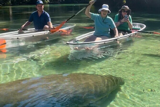 Weeki Wachee Clear Kayak Ecotours Manatee Season - November 14th-March 31st - What the Reviews Say
