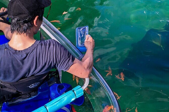 Weeki Wachee Clear Kayak Ecotours Manatee Season - November 14th-March 31st - Practical Details and What You Should Know