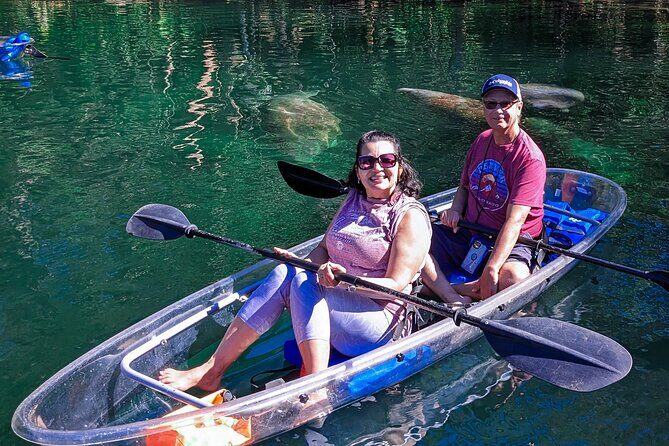 Weeki Wachee Clear Kayak Ecotours Manatee Season - November 14th-March 31st - Why You Should Consider This Tour
