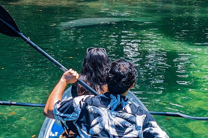 Weeki Wachee Clear Kayak Ecotours Manatee Season - November 14th-March 31st - The Sum Up: Who Will Love This Tour?