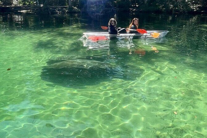 Weeki Wachee Clear Kayak Ecotours Manatee Season - November 14th-March 31st - FAQ: Your Practical Questions Answered