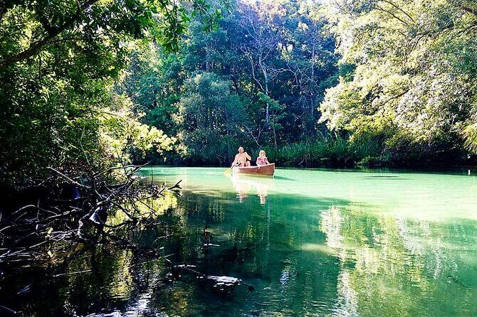 Weeki Wachee kayaking - An Overview of the Experience