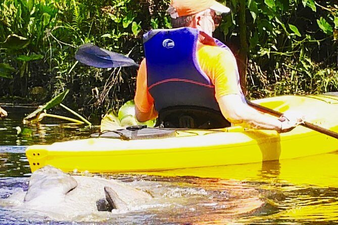 Wekiva River Guided Kayak Tour - What to Expect from Your Wekiva River Kayak Adventure