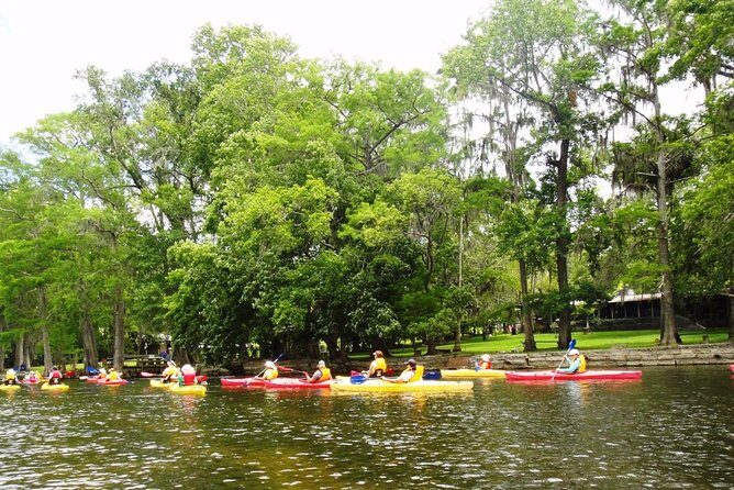 Wekiva River Guided Kayak Tour - Practical Tips for Your Trip
