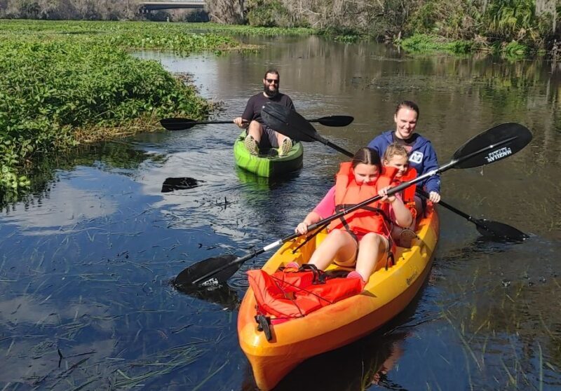 Wekiva Wildlife kayaking Adventure Tour - An In-Depth Look at the Wekiva Wildlife Kayaking Adventure