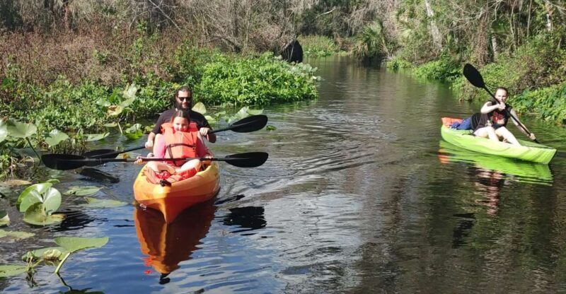 Wekiva Wildlife kayaking Adventure Tour - The Sum Up