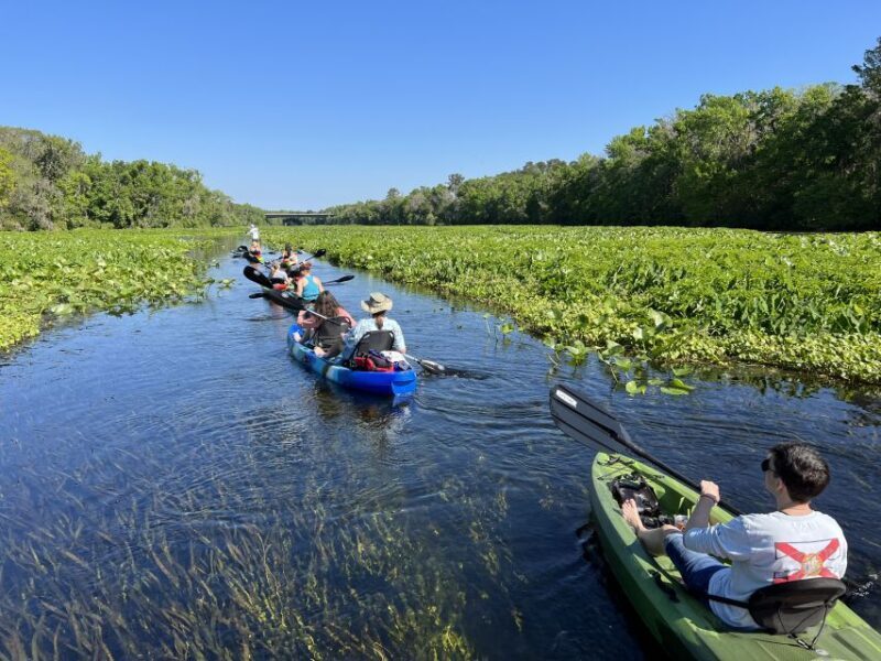 Wekiva Wildlife kayaking Adventure Tour - FAQ