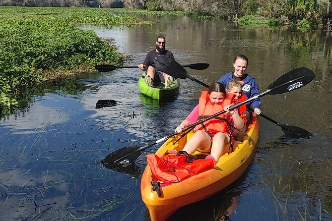 Wekiva Wildlife Kayaking Adventure Tour - The Itinerary in Detail