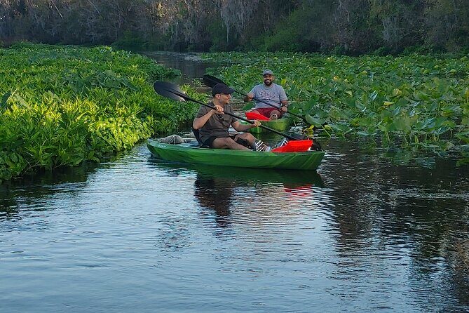 Wekiva Wildlife Kayaking Adventure Tour - Meeting Point and Logistics