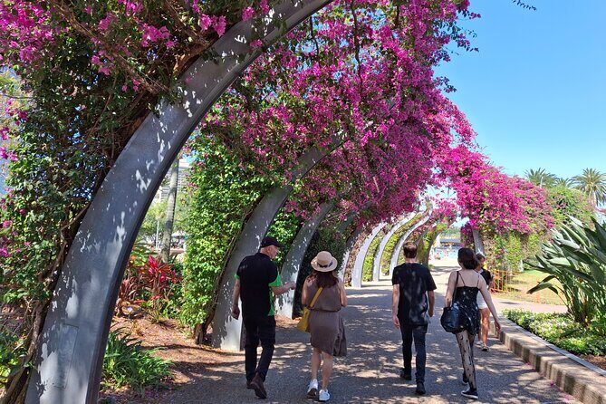 Welcome to Brisbane Private Tour by Local Guide - What’s Included and What to Expect