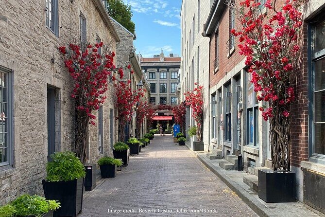 Welcome to Montreals Old Town: Private 2-hour Walking Tour - FAQ