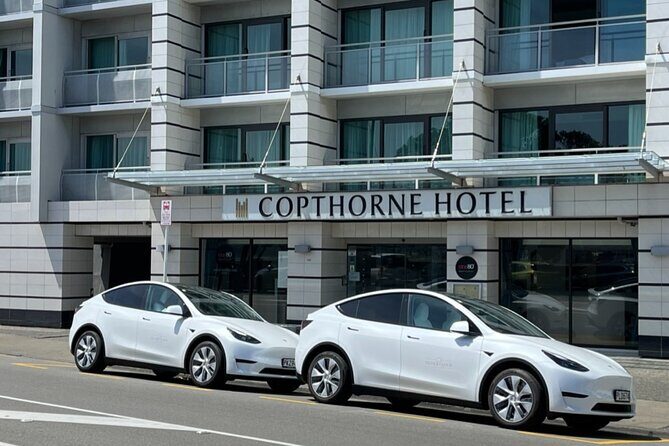 Welcome to Wellington: Private Luxury City & Scenic Bay Tour - Key Highlights of the Wellington Private Luxury Tour