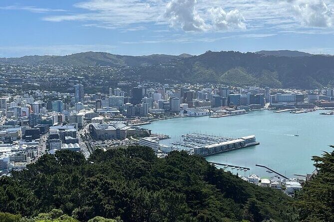 Welcome to Wellington: Private Luxury City & Scenic Bay Tour - Final Thoughts