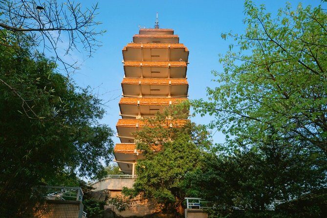 Well-spend Two Days in Chongqing Private Tour - Who Should Book This Tour?