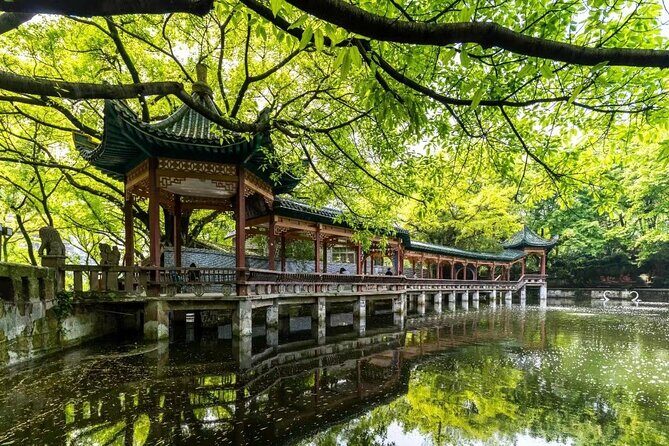 Well-spend Two Days in Chongqing Private Tour - Final Thoughts