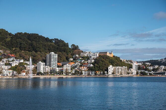 Wellington 90 minute Harbour Cruise - What Travelers Say