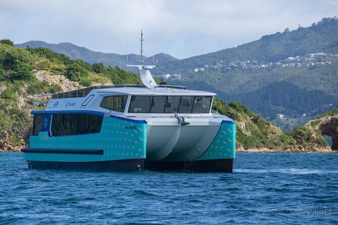 Wellington 90 minute Harbour Cruise - Pricing & Value Analysis