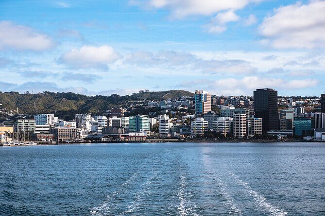 Wellington 90 minute Harbour Cruise - Practical Details & Tips
