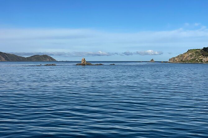 Wellington 90 minute Harbour Cruise - FAQ