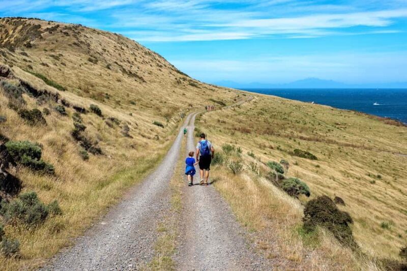 Wellington: Baring Head Lighthouse Walk - An Authentic, Scenic Walk with a Touch of History