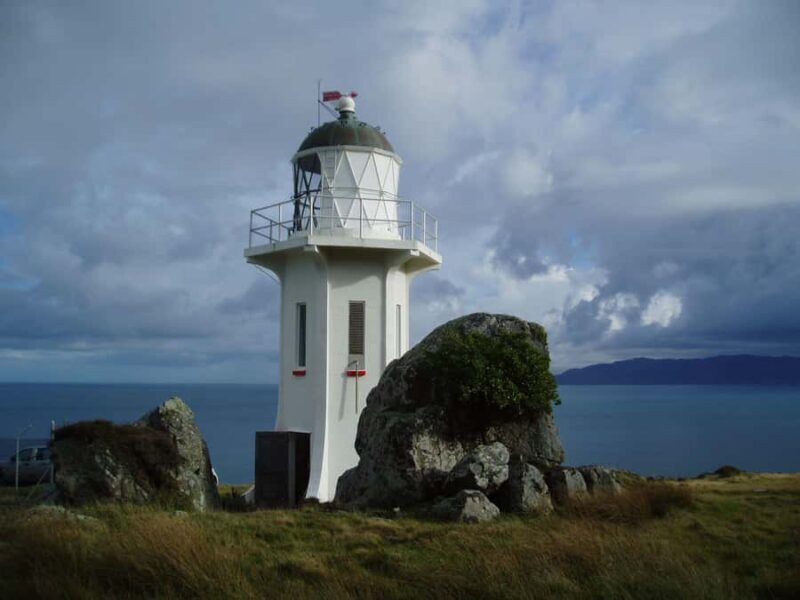 Wellington: Baring Head Lighthouse Walk - Detailed Itinerary Breakdown
