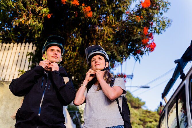 Wellington Bike Rental - A Closer Look at Wellington Bike Rental