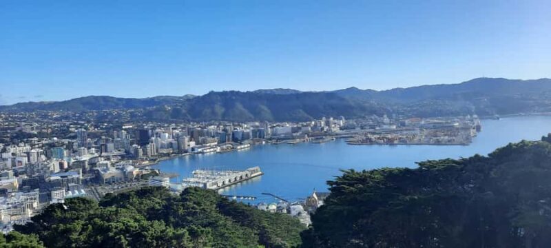 Wellington: Cave to Coast Highlights Guided Tour - Starting Point and Logistics