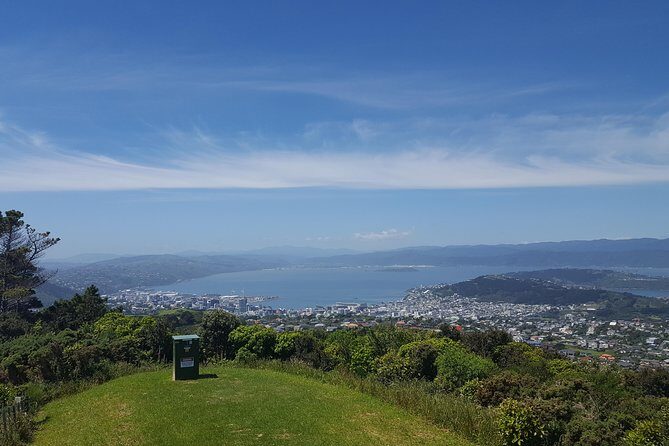 Wellington Cave to Coast Highlights Tour (5 Hours with Lunch) - Who Is This Tour Best For?