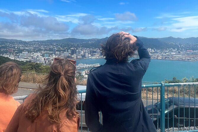 Wellington City and Sea: Private Tour in Electric Tesla SUV - Final Thoughts: Is It Worth It?