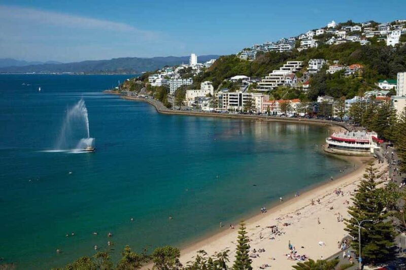 Wellington city heights private sightseeing tour - Final Thoughts