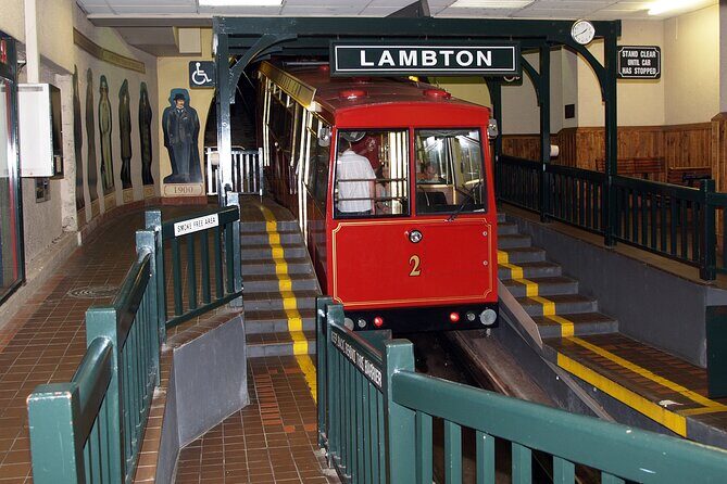 Wellington city heights sightseeing Private 5 hour tour - Why We Love This Tour