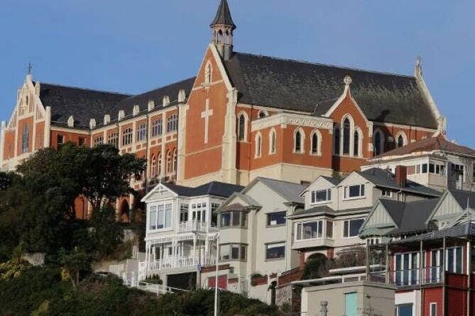 Wellington city heights sightseeing Private 5 hour tour - Wrapping It Up