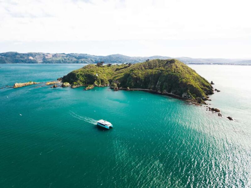 Wellington: Commentated Harbour Explorer tour - Key Points