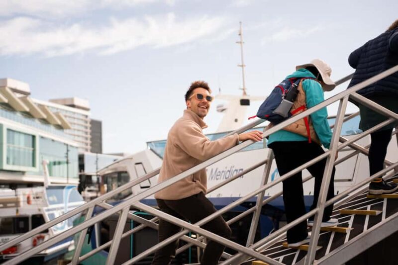 Wellington: Commentated Harbour Explorer tour - Experience Overview: A Closer Look at the Harbour Voyage
