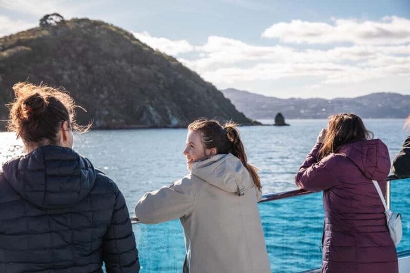 Wellington: Commentated Harbour Explorer tour - Who Will Love This Experience?