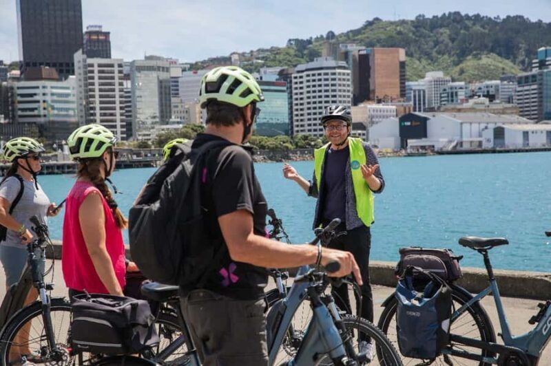 Wellington: Easy Rider Guided eBike Tour - The Bikes & Safety