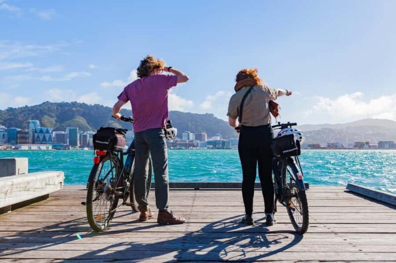 Wellington: Easy Rider Guided eBike Tour - Who Should Consider This Tour?