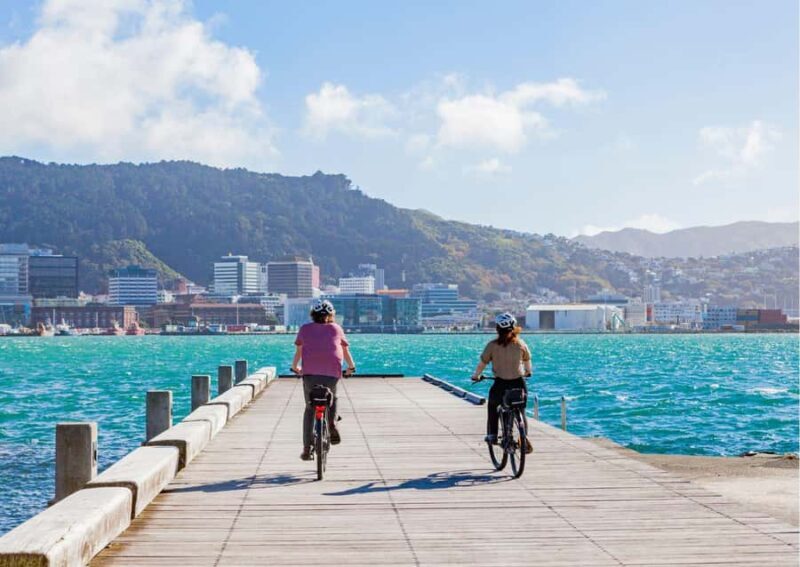 Wellington: Electric Bike Rental - Rider Experience and Audience