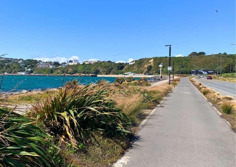 Wellington: Electric Bike Rental - Pricing and Value
