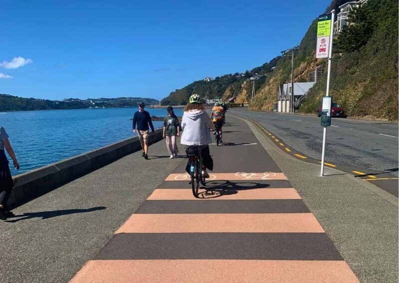 Wellington: Electric Bike Rental - Who Will Love This Experience?