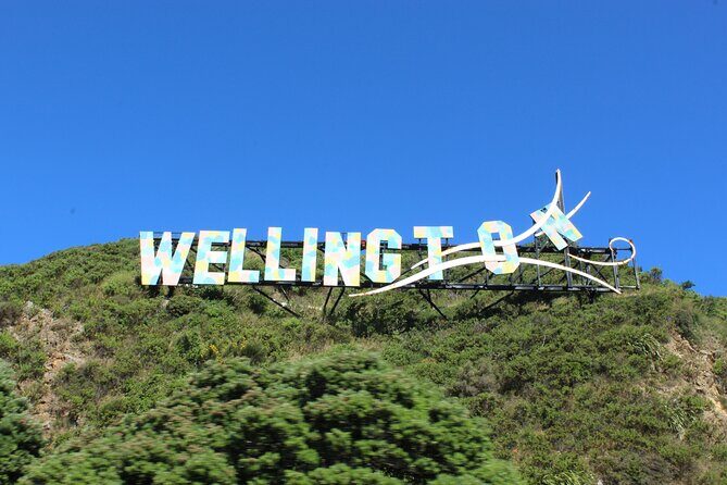 Wellington Full Day Private Tour in Electric Tesla SUV - A Personalized Look at Wellington in a Tesla SUV