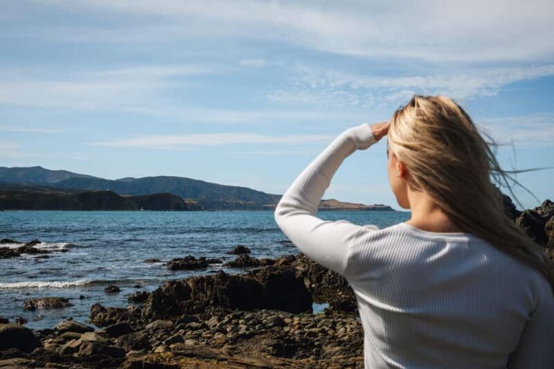 Wellington: Guided City Tour with Cable Car Ticket - An Authentic Look at Wellington in Just Three Hours