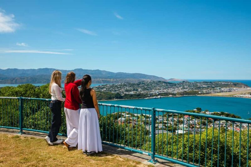 Wellington: Guided City Tour with Cable Car Ticket - Price and Value