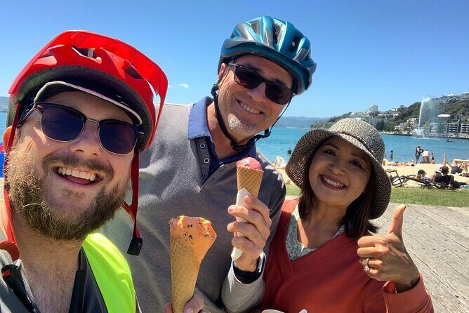 Wellington Guided eBike Tour-Cruise Shore Excursion - Practical Details: What It Means for You