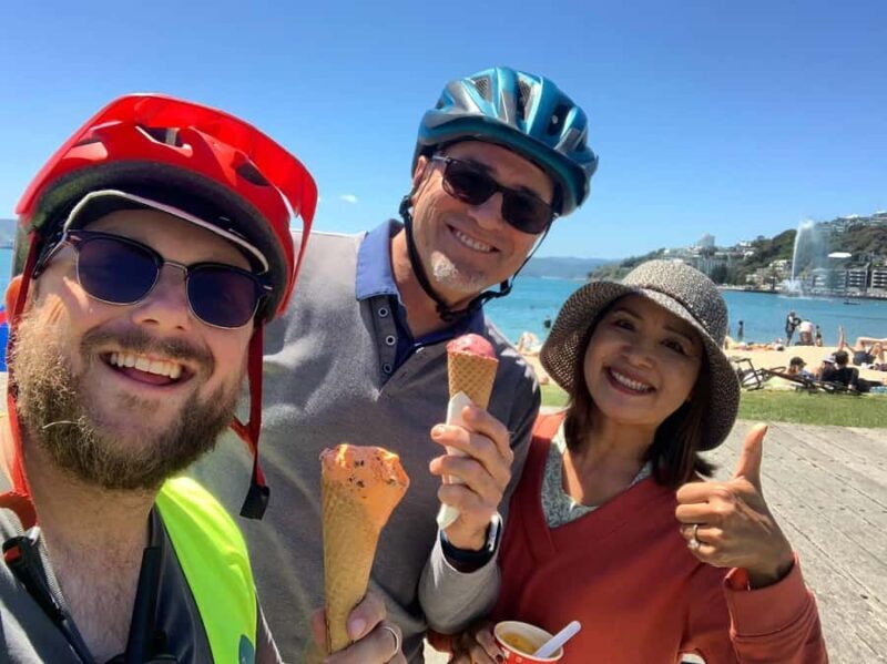 Wellington: Guided Sightseeing Tour by Electric Bike - Introduction: A Fun and Scenic Way to Discover Wellington