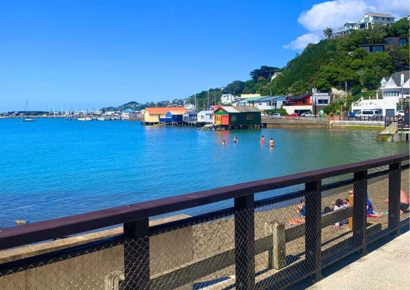 Wellington: Guided Sightseeing Tour by Electric Bike - Practical Tips for Riders