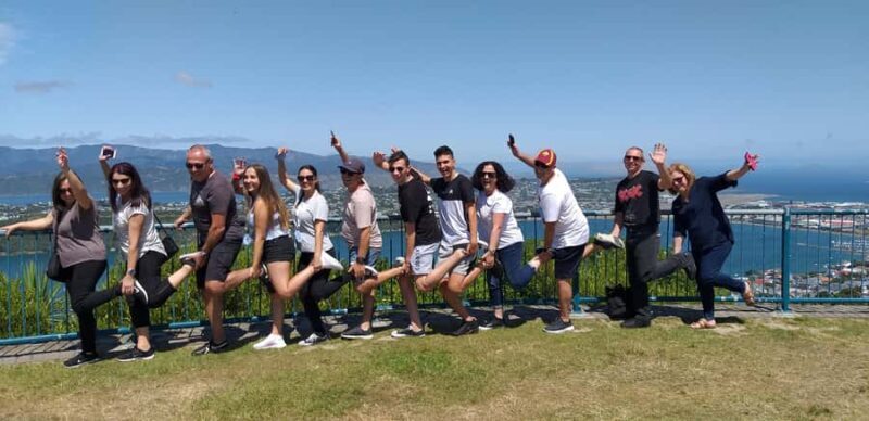 Wellington: Half-Day City Highlights Tour and Cable Car Ride - Who Would Love This Tour?