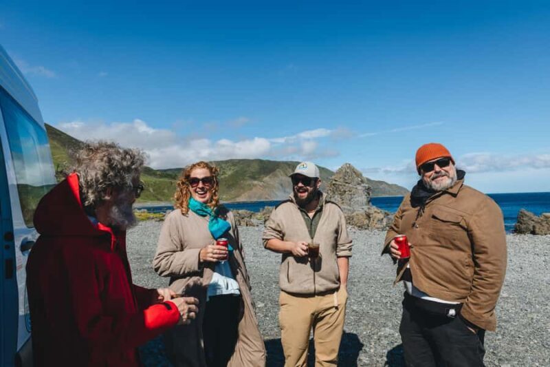 Wellington: Half Day Seal Coast Safari - Pricing and Value