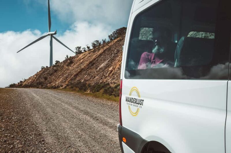 Wellington: Half Day Seal Coast Safari - Who Should Consider This Tour?